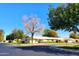 House exterior view, showcasing a single-story home with landscaping at 19002 N Signal Butte Cir, Sun City, AZ 85373