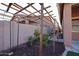 Pergola-covered garden path with raised planting beds at 3134 E Sunrise Pl, Chandler, AZ 85286