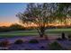 Sunrise view of a tree on the golf course at 33448 N 69Th Pl, Scottsdale, AZ 85266