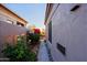 Landscaped side yard with walkway and flowering plants at 33448 N 69Th Pl, Scottsdale, AZ 85266