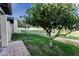 Landscaped backyard with mature citrus trees and a view of the golf course at 7708 E Park View Dr Dr, Mesa, AZ 85208