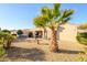 Backyard with gravel landscaping, palm tree and patio area at 19751 N Desert Song Way, Surprise, AZ 85374