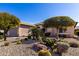 Landscaped front yard with desert plants and rock at 26841 W Ross Ave, Buckeye, AZ 85396