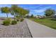 Concrete community walking path with trees and landscaping at 2776 E Mews Rd, Gilbert, AZ 85298