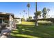 Backyard with grassy lawn and palm trees at 633 S 77Th St, Mesa, AZ 85208