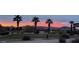 Scenic landscape view with palm trees silhouetted against a vibrant sunset over mountains and a golf course at 105 S 224Th Ave, Buckeye, AZ 85326