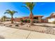 Landscaped front yard with two large palm trees at 12450 W Fieldstone Dr, Sun City West, AZ 85375