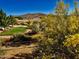 Landscaped backyard with grassy area, desert plants, and mountain views at 13602 S Garnet Rd, Buckeye, AZ 85326