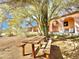 Peaceful backyard with picnic table under a shade tree at 13602 S Garnet Rd, Buckeye, AZ 85326