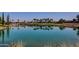 Serene lake view with homes in background at 23313 N De La Guerra Ct, Sun City West, AZ 85375