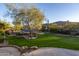 Wide backyard view with a well-manicured lawn, desert landscaping, mature trees, and a gated pool at 3439 E Tonto Dr, Phoenix, AZ 85044