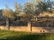 Fenced perimeter of the backyard showcases lush greenery with a hillside backdrop at 3439 E Tonto Dr, Phoenix, AZ 85044