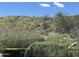 Scenic backyard view showcasing desert vegetation and a beautiful blue sky, perfect for nature lovers at 3439 E Tonto Dr, Phoenix, AZ 85044