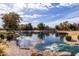 Scenic community pond featuring lush landscaping, rock features, and a serene atmosphere at 3843 E Old Stone N Cir, Chandler, AZ 85249