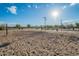 Sandy volleyball court on a sunny day, ready for a friendly game at 3843 E Old Stone N Cir, Chandler, AZ 85249