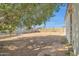 Large backyard with a tree and open space at 3925 W San Juan Ave, Phoenix, AZ 85019