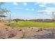 Expansive green lawn area with community homes in the background at 39995 W Agave Rd, Maricopa, AZ 85138