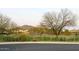 Backyard area features a view of the community with lush grass and a mountain backdrop at 42225 N Celebration Way, Phoenix, AZ 85086