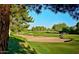 A golfer walks the course putting green at 4303 E Cactus Rd # Apt 128, Phoenix, AZ 85032