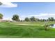 Golf course green next to a pond at 6331 S Cypress Point Dr, Chandler, AZ 85249