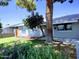 Single story home with landscaped yard and large tree at 7150 W Montecito Ave, Phoenix, AZ 85033