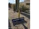 Desert landscaping with native plants and 