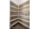 Spacious walk-in pantry features ample shelving for organized food storage and accessibility at 23448 N 76Th Pl, Scottsdale, AZ 85255