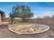 Large backyard with playground set and mature tree at 29762 N 69Th Ln, Peoria, AZ 85383