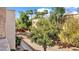 Community courtyard with trees and a walkway at 3031 N Civic Center Plz # 317, Scottsdale, AZ 85251