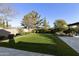 Lush backyard with green grass, mature trees, and manicured landscaping at 350 W Yellowstone Way, Chandler, AZ 85248