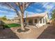 Landscaped backyard with grassy area and mature tree at 3743 W Shannon St, Chandler, AZ 85226