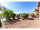 Landscaped backyard with lake view and lush greenery at 42621 W Heavenly Pl, Maricopa, AZ 85138