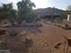 Landscaped backyard with rock features, desert plants, and gravel pathway leading to a storage shed at 44311 N 1St Dr, New River, AZ 85087