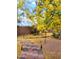 Landscaped backyard with a stone pathway, and yellow flowering trees at 44311 N 1St Dr, New River, AZ 85087