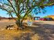 Relaxing hammock under a large tree in the backyard at 44311 N 1St Dr, New River, AZ 85087