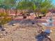 Landscaped backyard with a fountain and desert landscaping at 44311 N 1St Dr, New River, AZ 85087