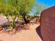 Large desert backyard space with mature trees, a small seating area, native plants, and a privacy wall at 44311 N 1St Dr, New River, AZ 85087