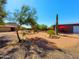 Landscaped front yard with desert plants and a mountain view at 44311 N 1St Dr, New River, AZ 85087