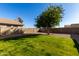 Landscaped backyard with grass, tree, and block wall at 4849 E Abraham Ln, Phoenix, AZ 85054