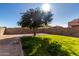 Landscaped backyard with grass, tree, and block wall at 4849 E Abraham Ln, Phoenix, AZ 85054