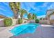 Backyard pool surrounded by tropical palm trees offering a private oasis at 5184 W Del Rio St, Chandler, AZ 85226