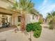 Landscaped side yard with palm trees and walkway at 6000 E Camelback Rd # 7707, Scottsdale, AZ 85251