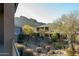 Landscaped courtyard with desert plants and mountain backdrop at 10196 E Legend Trl, Gold Canyon, AZ 85118