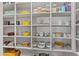Well-organized pantry with ample shelving for storage at 11444 N Northfield St, Surprise, AZ 85388