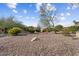 Landscaped front yard with gravel and desert landscaping at 16203 W Starry Sky Dr, Surprise, AZ 85374