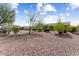 Landscaped front yard with gravel and mature trees at 16203 W Starry Sky Dr, Surprise, AZ 85374