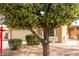 Beautiful home partially blocked by a tree, showcasing a tidy yard with green bushes at 2077 W Tanner Ranch Rd, San Tan Valley, AZ 85144