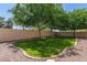 Landscaped backyard featuring a lush lawn surrounded by mature trees at 3503 E Princeton Ct, Gilbert, AZ 85234