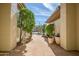 Private courtyard with stone path and desert plants at 41717 N Moss Springs Ct, Anthem, AZ 85086