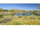 Scenic view of a tranquil pond surrounded by desert landscape at 41717 N Moss Springs Ct, Anthem, AZ 85086